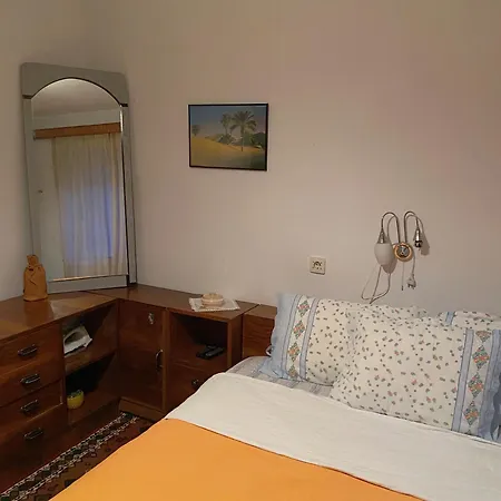 Mollys 1 波格拉德茨