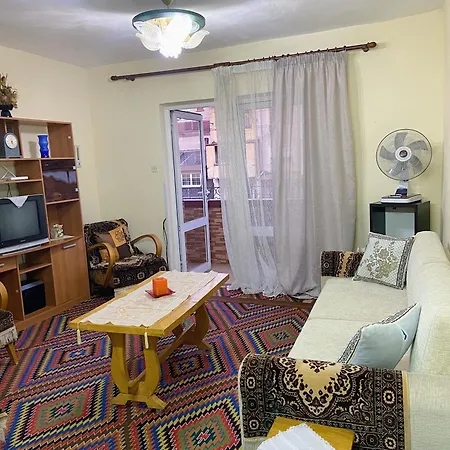 Mollys 1 * 波格拉德茨