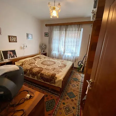 Mollys 1 * Pogradec