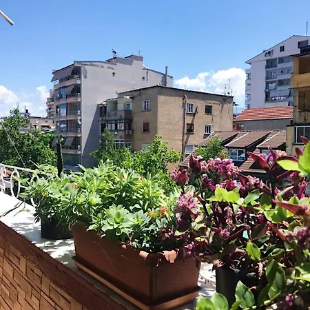 Mollys 1 Apartament *